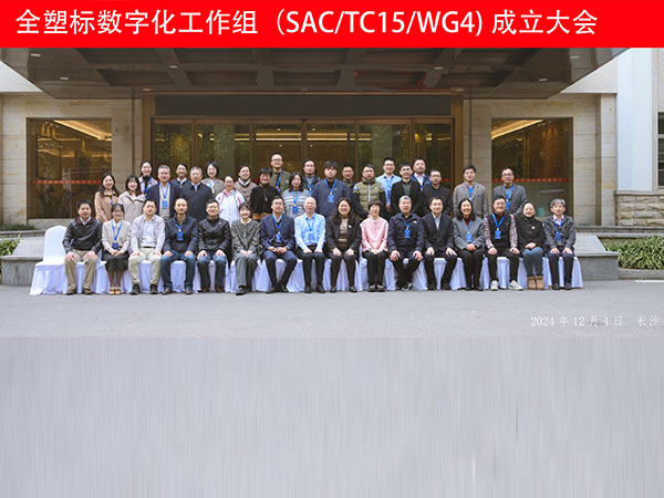 2024年12月3日-5日 全國塑料標(biāo)準(zhǔn)化委員會(huì) 數(shù)字工作組