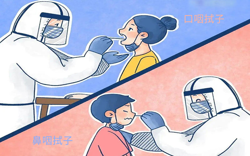 核酸檢測咽拭子
